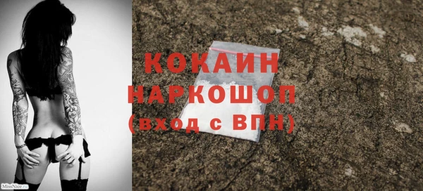 гидра Балахна