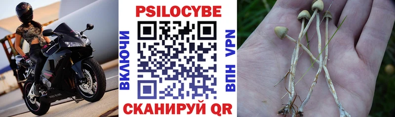 даркнет телеграм  закладка  Теберда  Псилоцибиновые грибы Magic Shrooms 